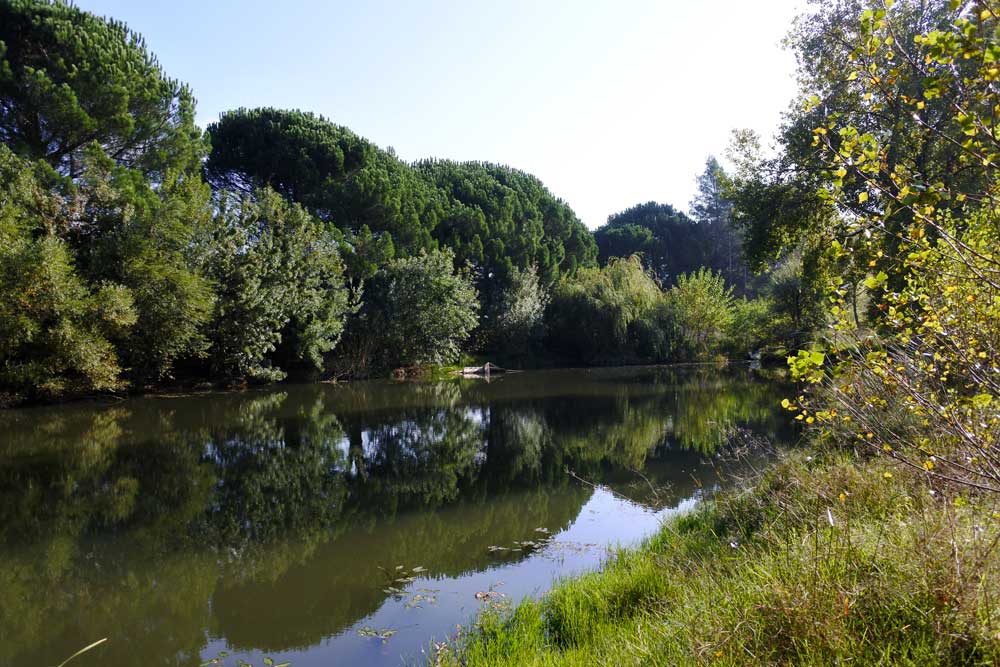 Journées portes ouvertes à l’étang de Sauvebonne à Hyères - 1