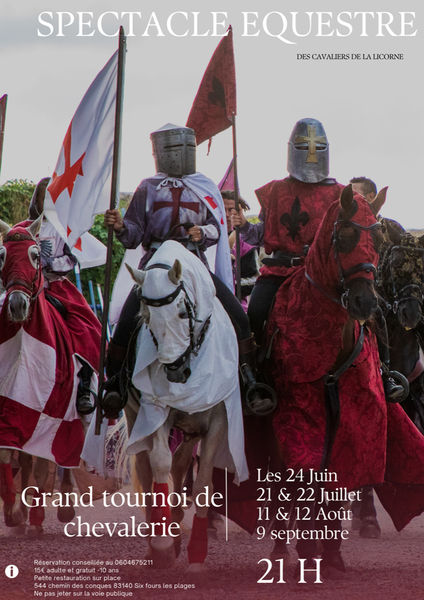 Spectacle équestre « Grand tournoi de chevalerie » par les Cavaliers de la Licorne à Six-Fours-les-Plages - 0