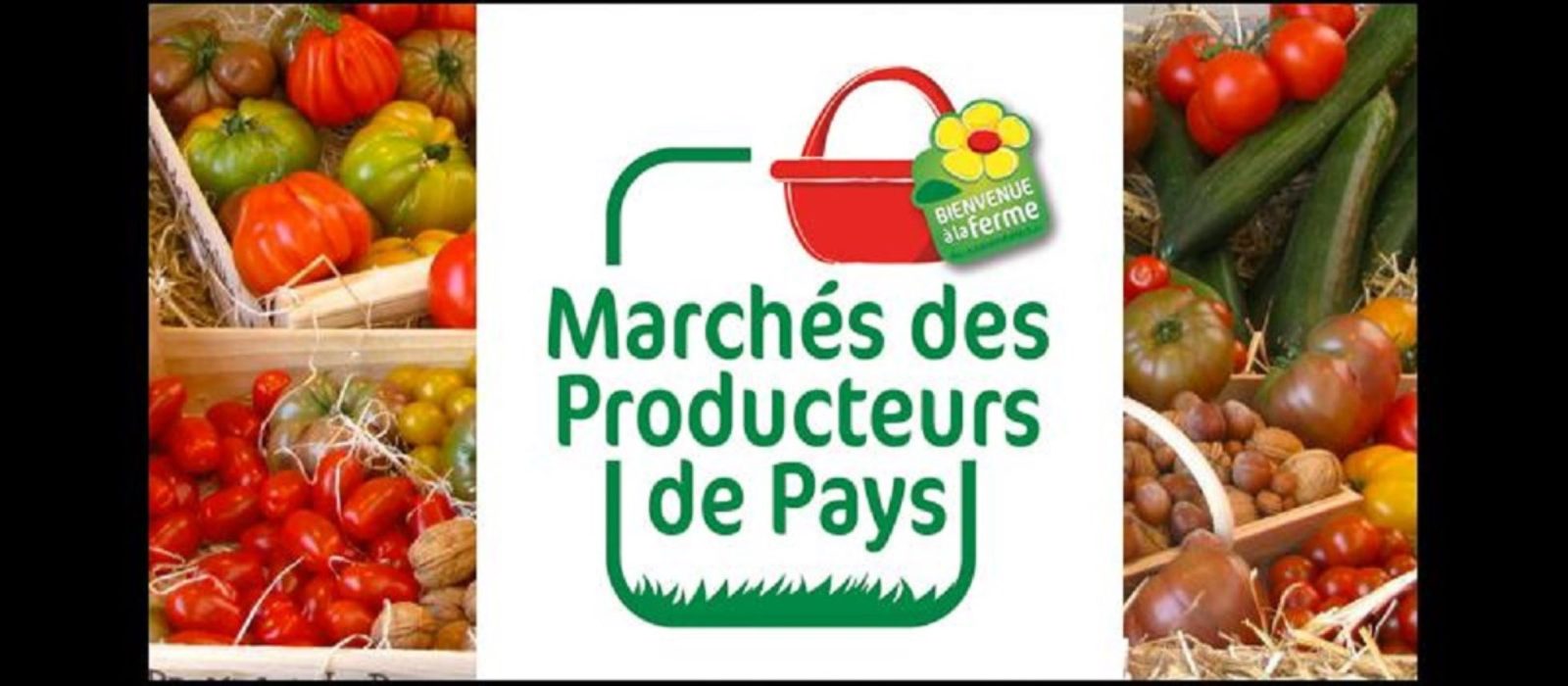 Marché des producteurs de pays : mardi à Le Pradet - 0